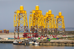 Lutte contre les nuisibles Cherbourg-en-Cotentin